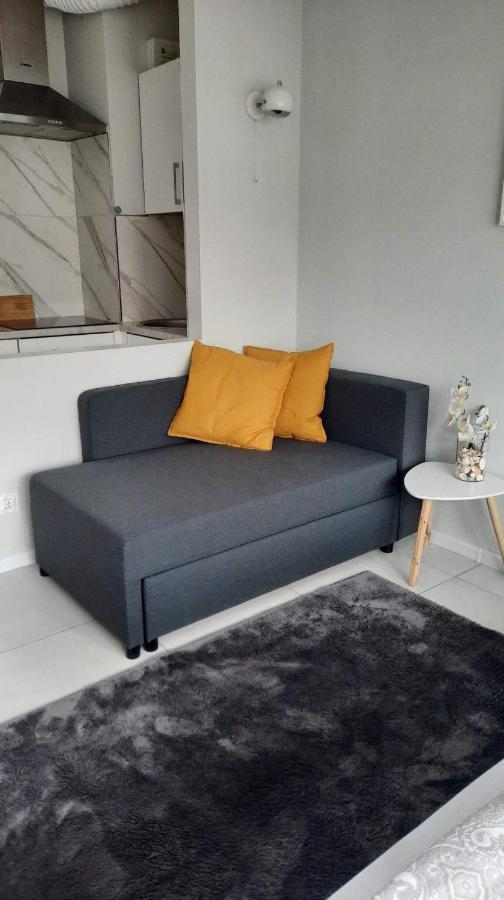 מידזיזדרויה Apartament Mili מראה חיצוני תמונה